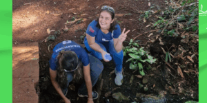 Meio Ambiente